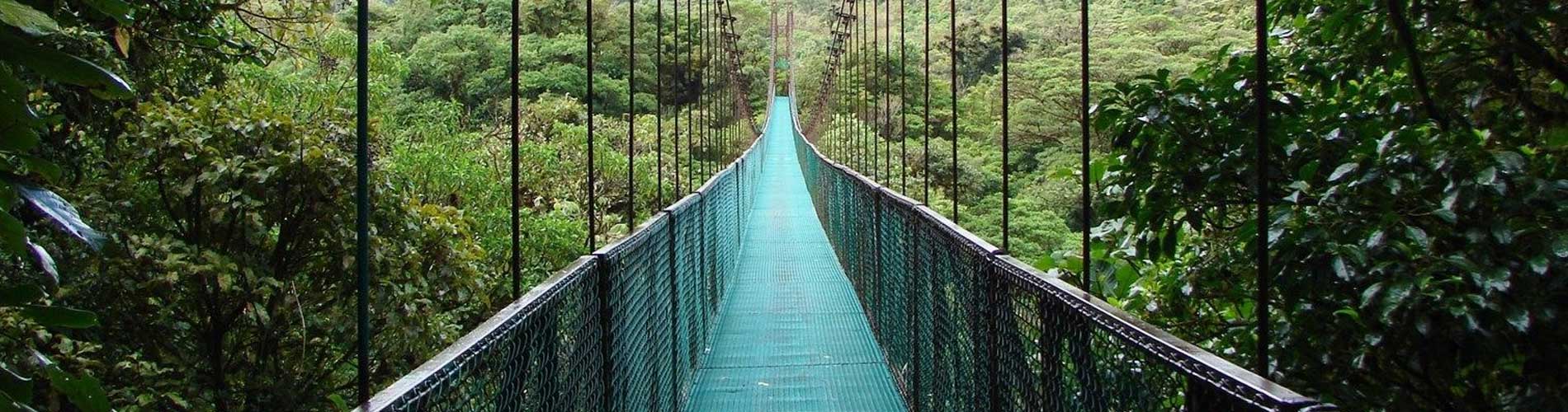 Hanging Bridges cloud forest - Witropa Travel